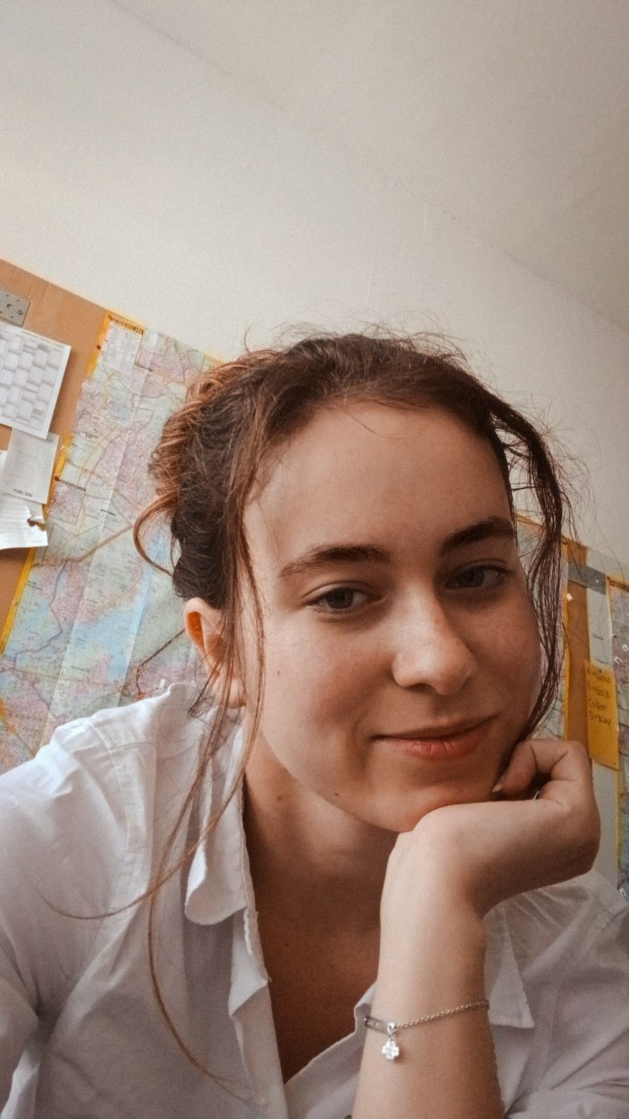 Sabiene, Planning und Logistics